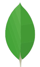 MongoDB